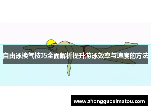 自由泳换气技巧全面解析提升游泳效率与速度的方法