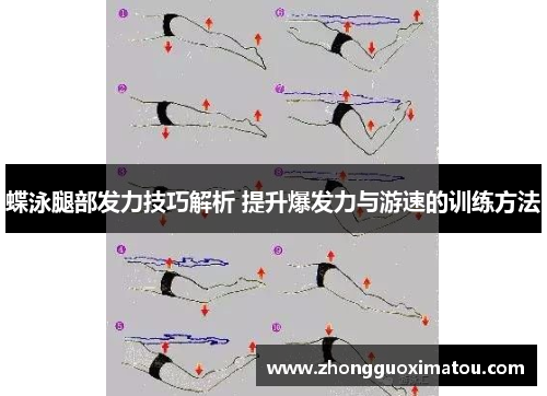 蝶泳腿部发力技巧解析 提升爆发力与游速的训练方法